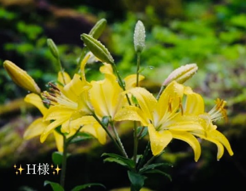 小山真帆 写メ日記 10/11(土) 21:42