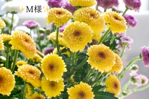 小山真帆 写メ日記 11/1(土) 17:58