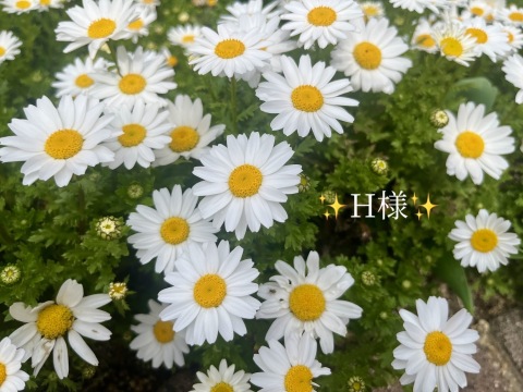 小山真帆 写メ日記 11/22(土) 22:42