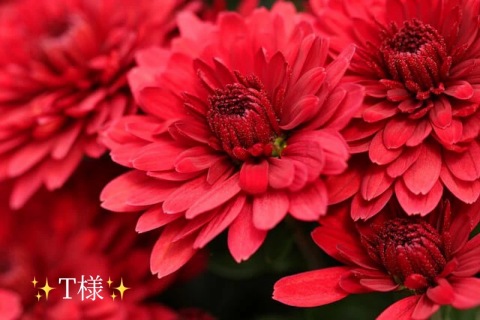 小山真帆 写メ日記 11/27(木) 21:25