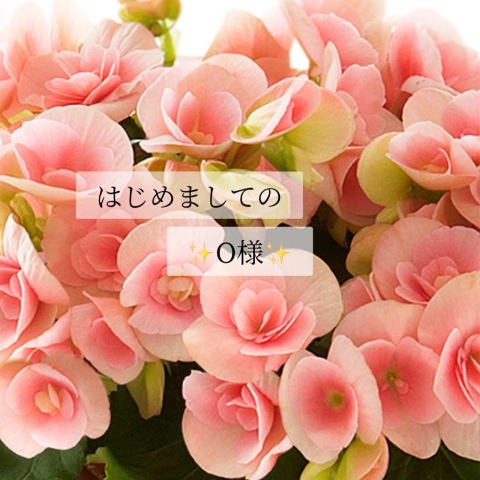 小山真帆 写メ日記 11/29(土) 21:30