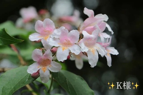 小山真帆 写メ日記 12/4(木) 21:38