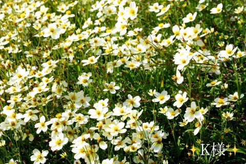 小山真帆 写メ日記 12/8(月) 18:38