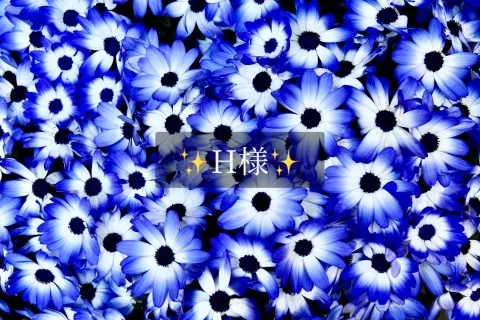 写メ日記 小山真帆 12/18(木) 20:34