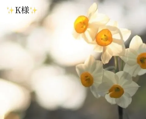 写メ日記 小山真帆 12/29(月) 19:00