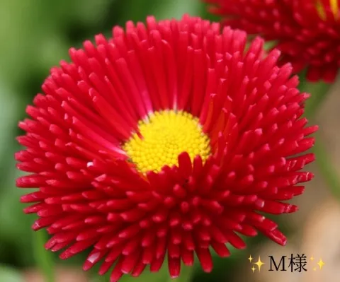 写メ日記 小山真帆 1/16(金) 07:36