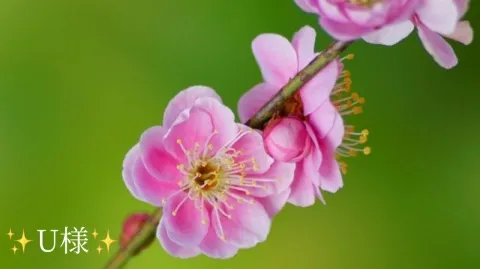 写メ日記 小山真帆 2/2(月) 08:04
