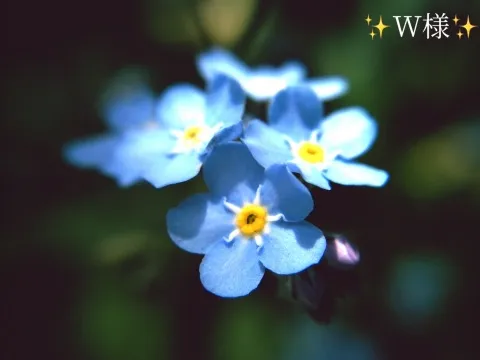 写メ日記 小山真帆 2/7(土) 21:16