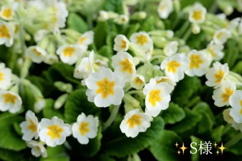 写メ日記 小山真帆 2/12(木) 10:26