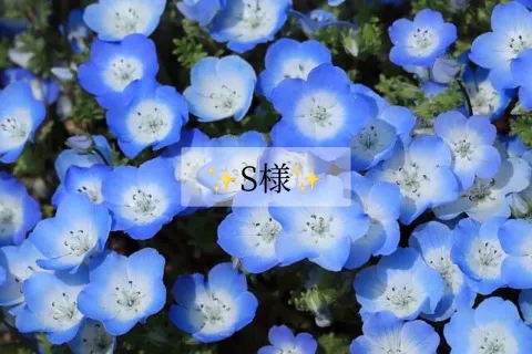 写メ日記 小山真帆 2/22(日) 07:52