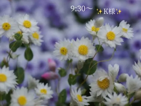 写メ日記 小山真帆 2/26(木) 20:28