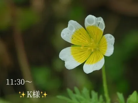 写メ日記 小山真帆 2/26(木) 21:22