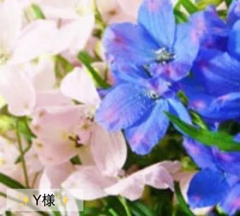 写メ日記 小山真帆 3/24(火) 21:34