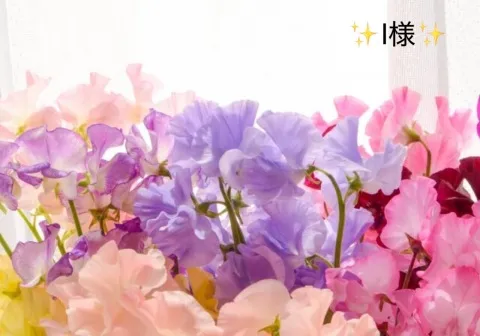 写メ日記 小山真帆 3/31(火) 16:24