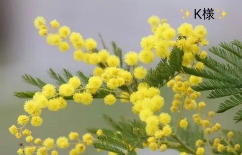 写メ日記 小山真帆 4/10(金) 13:38