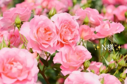 写メ日記 小山真帆 4/16(木) 08:00