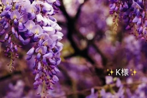 写メ日記 小山真帆 4/29(水) 21:54