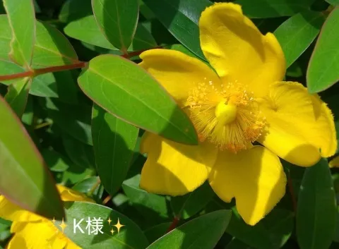 写メ日記 小山真帆 5/4(月) 20:16