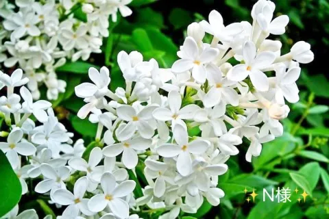 写メ日記 小山真帆 5/13(水) 11:06