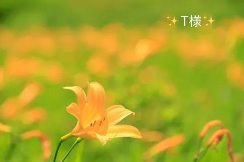 写メ日記 小山真帆 6/4(木) 20:12