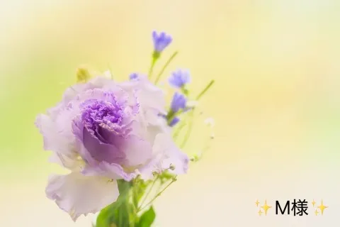 写メ日記 小山真帆 6/10(水) 21:30