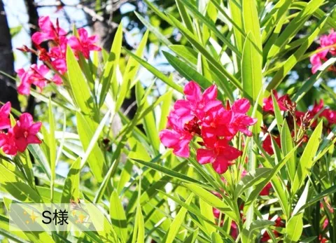 写メ日記 小山真帆 7/5(日) 18:38