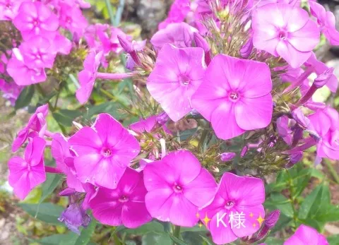 写メ日記 小山真帆 8/5(水) 18:50