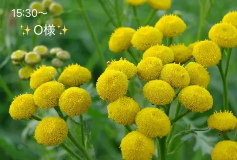 写メ日記 小山真帆 8/13(木) 13:20