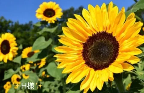 写メ日記 小山真帆 8/16(日) 19:28