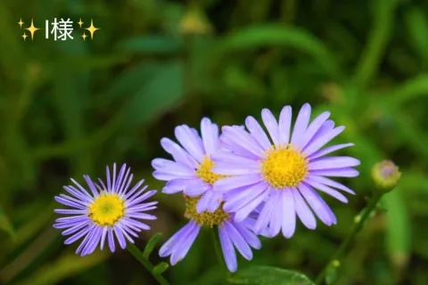 写メ日記 小山真帆 8/27(木) 17:32