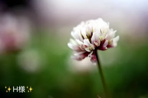写メ日記 小山真帆 8/30(日) 16:56