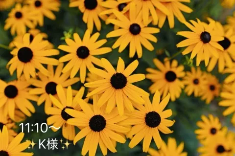 写メ日記 小山真帆 9/25(金) 19:04