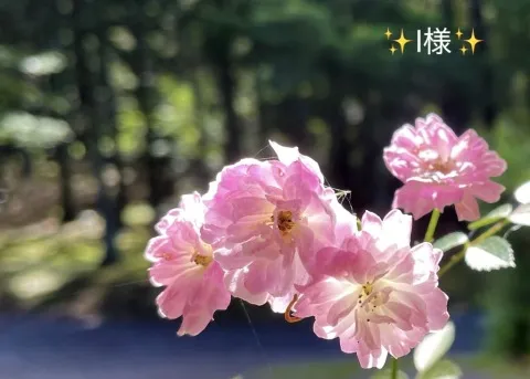 写メ日記 小山真帆 10/8(木) 17:30