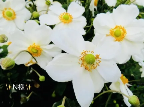 写メ日記 小山真帆 10/16(金) 15:46