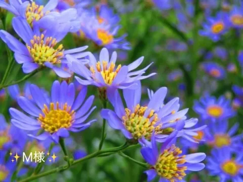 写メ日記 小山真帆 10/20(火) 14:48