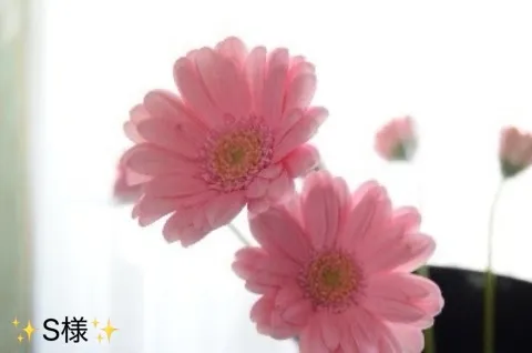 写メ日記 小山真帆 10/25(日) 20:02