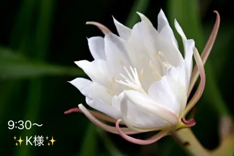 写メ日記 小山真帆 10/30(金) 13:52