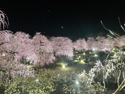 渡辺ちさと 写メ日記 5/6(火) 16:22
