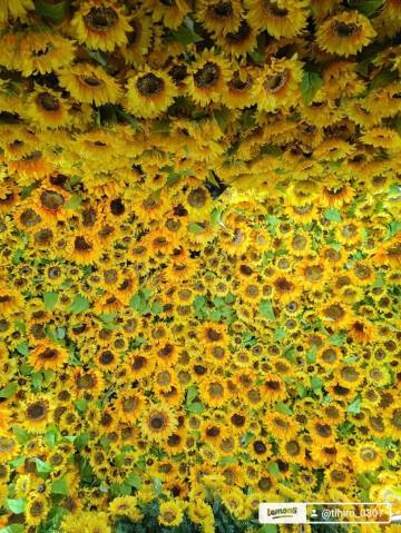 渡辺ちさと 写メ日記 10/21(火) 08:58