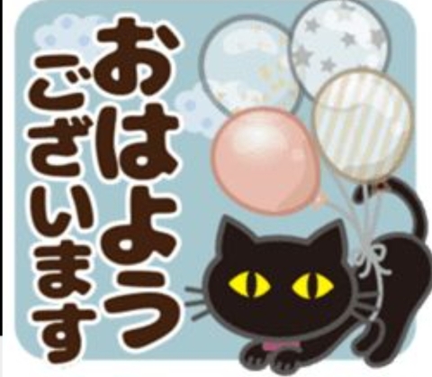 吉田梨乃 写メ日記 5/3(土) 08:02