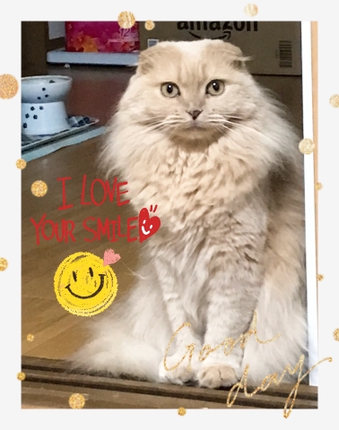 小田みち子 写メ日記 3/22(土) 07:20