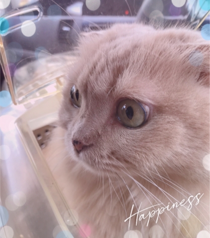 小田みち子 写メ日記 3/22(土) 14:20