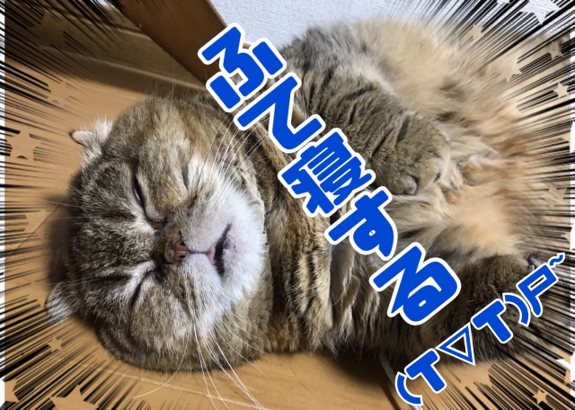 小田みち子 写メ日記 3/23(日) 22:56