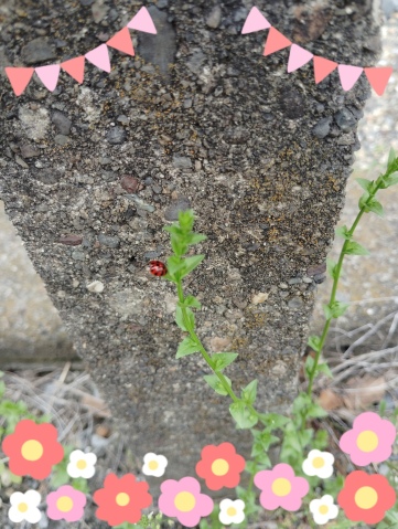 山本みゆき 写メ日記 4/8(火) 15:24