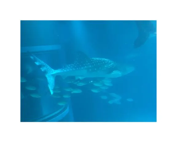 写メ日記 かな 2/11(水) 18:31