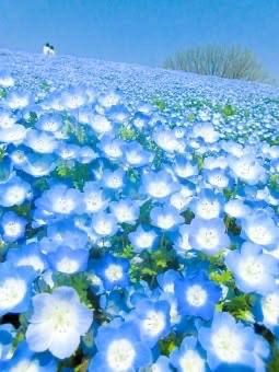 みずほ 写メ日記 10/28(火) 20:48