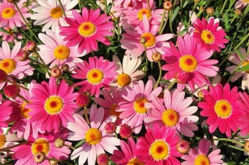 みずほ 写メ日記 11/17(月) 18:14