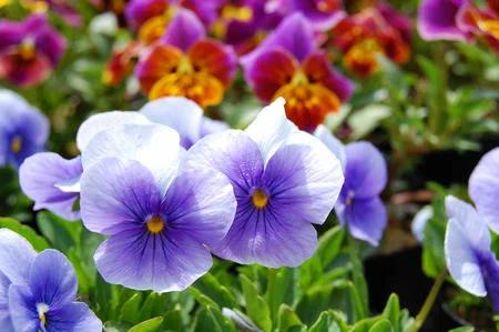 みずほ 写メ日記 11/30(日) 15:06