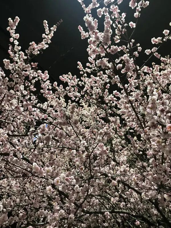 写メ日記 ゆい 2/11(水) 14:33