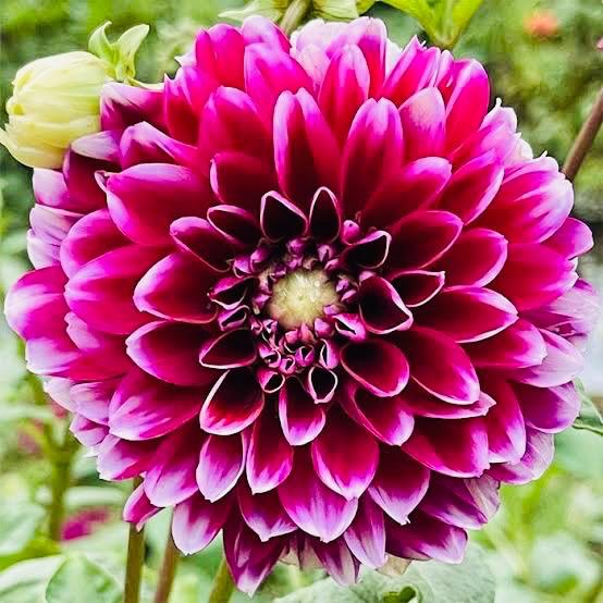 えま 写メ日記 10/3(金) 12:32